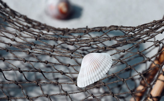 Slider Image Partner_Netz_02.jpg
